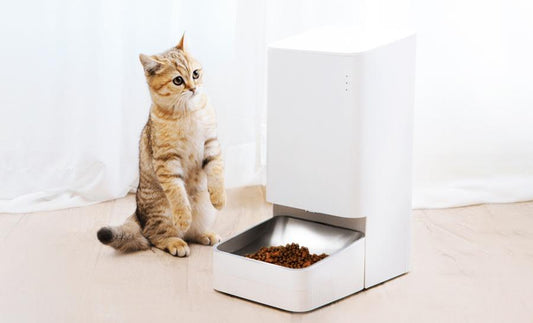 Gondoskodj házi kedvenceidről a Xiaomival!