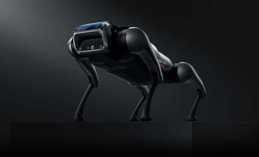 A mi kisállatunk - Xiaomi Cyberdog