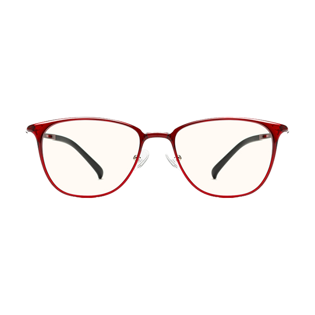 TS Computer Glasses