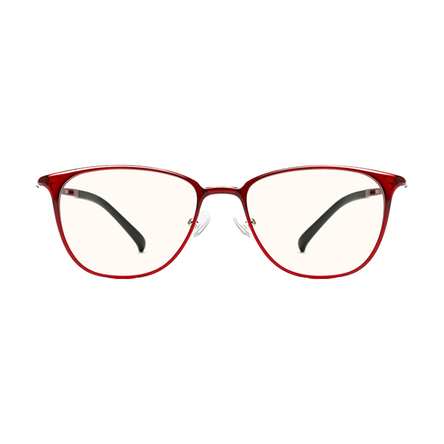 TS Computer Glasses