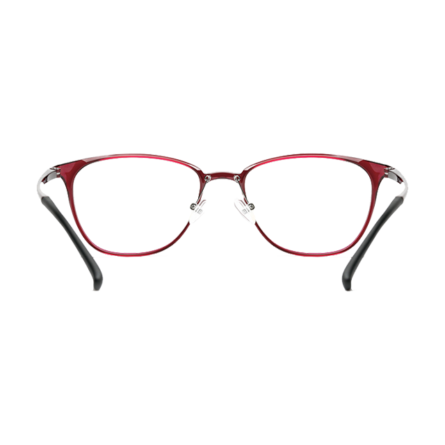 TS Computer Glasses